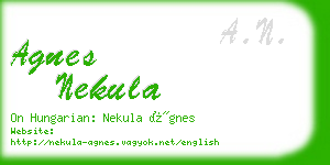 agnes nekula business card